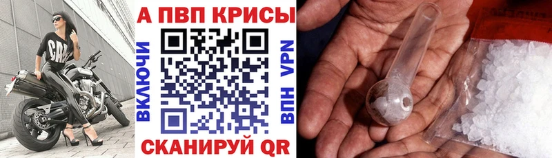 Купить где Олонец A PVP СК