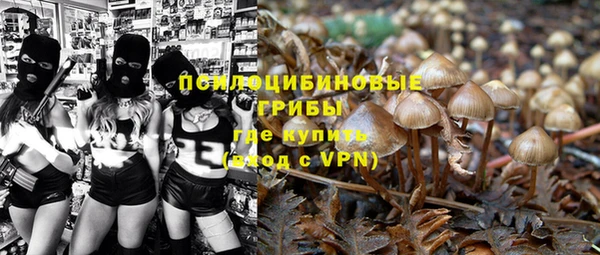 не бодяженный Аркадак