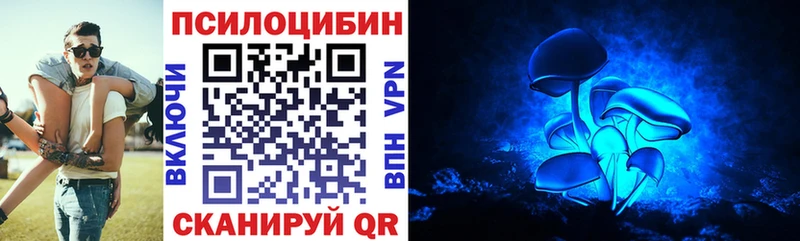 Купить где  Олонец  Псилоцибиновые грибы ЛСД 