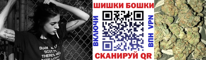 Конопля сатива  Купить  Олонец 